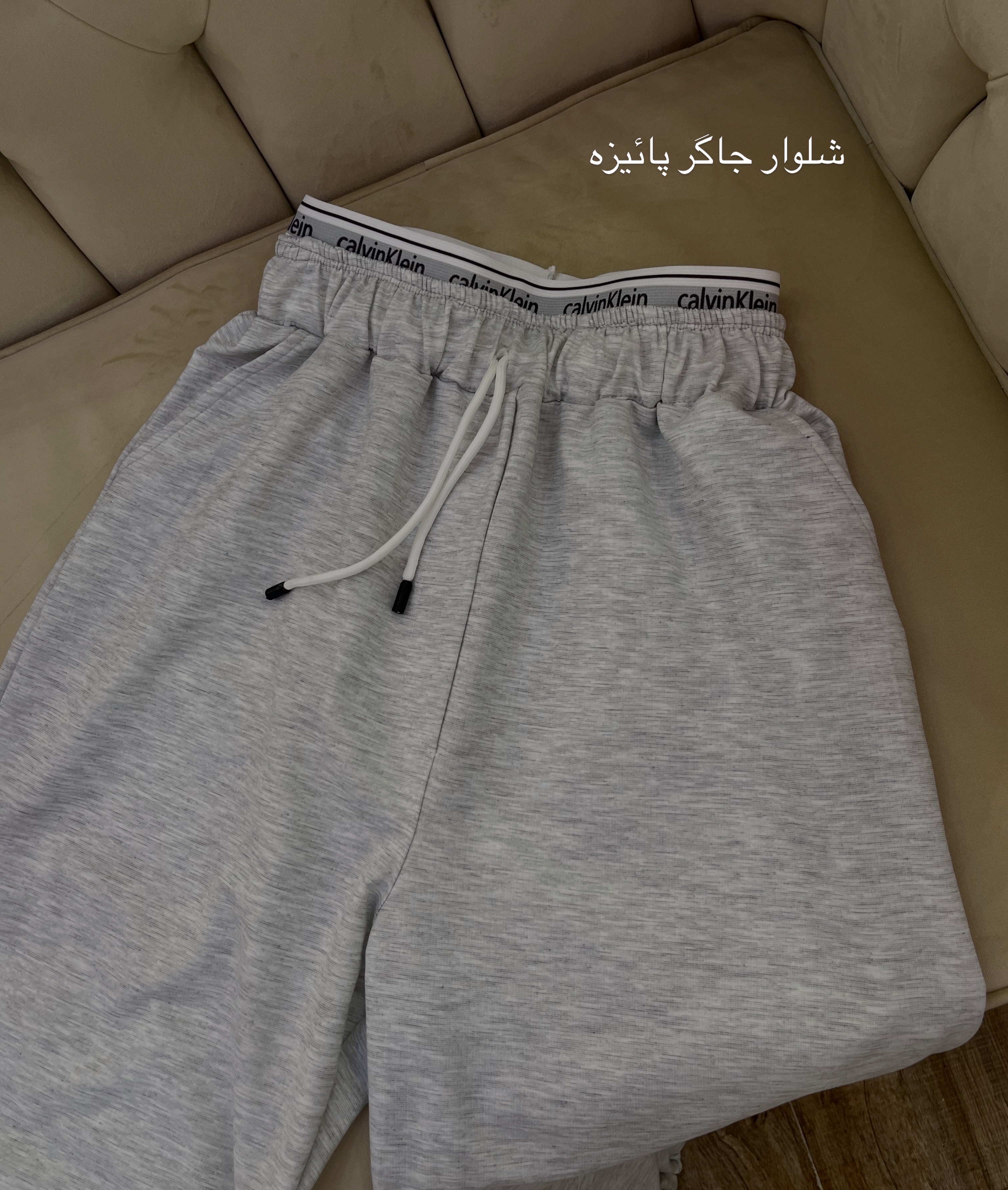 جاگر